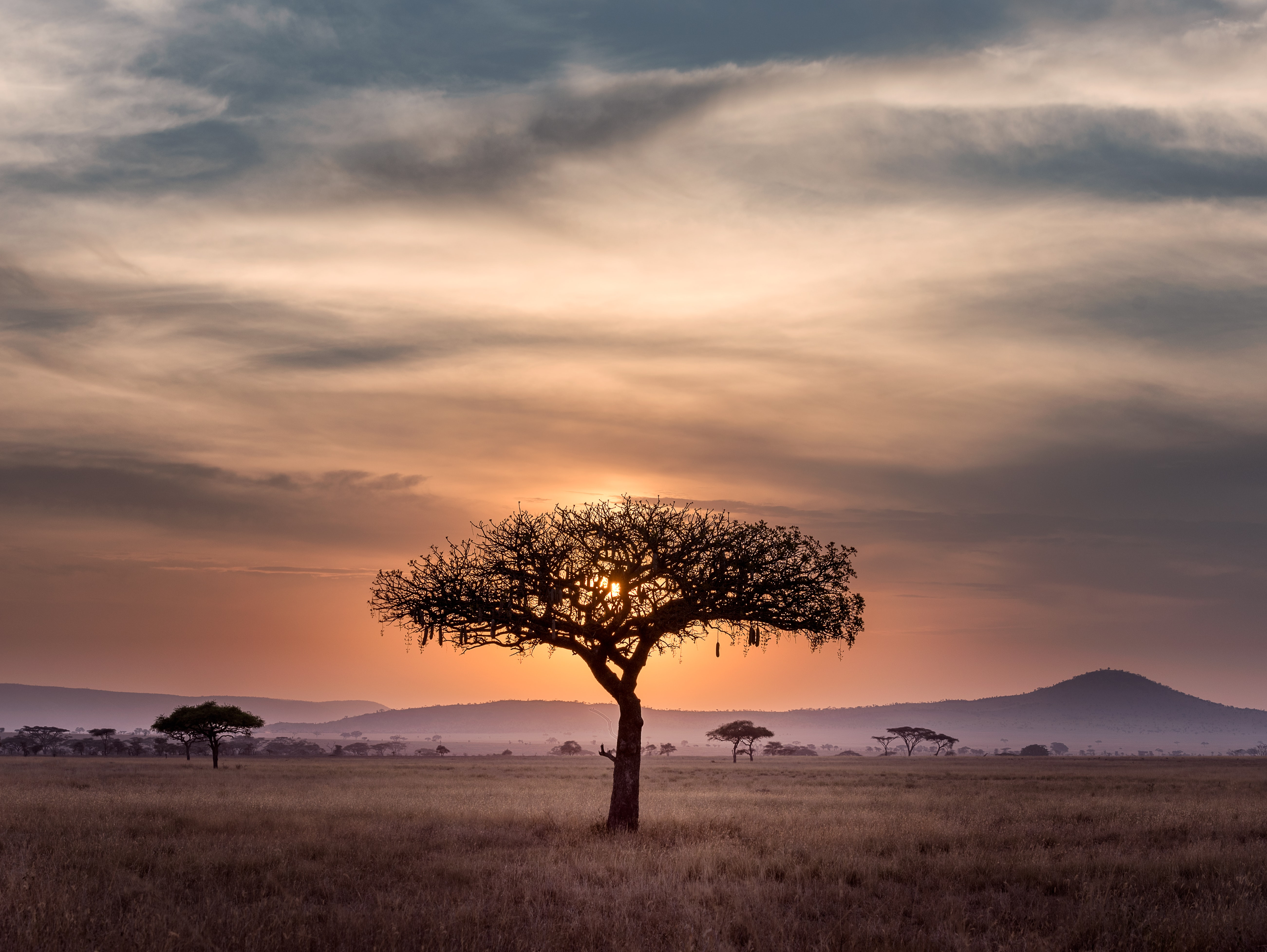 South Africa | Currency Online Group