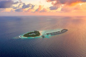 Fijian Dollar | Currency Online Group