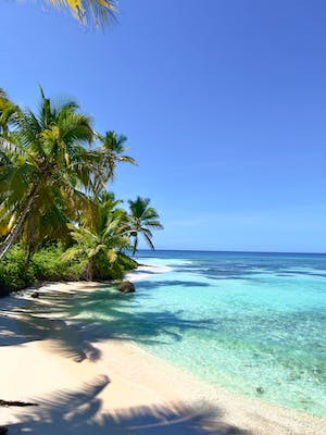 Dominican Peso | Currency Online Group