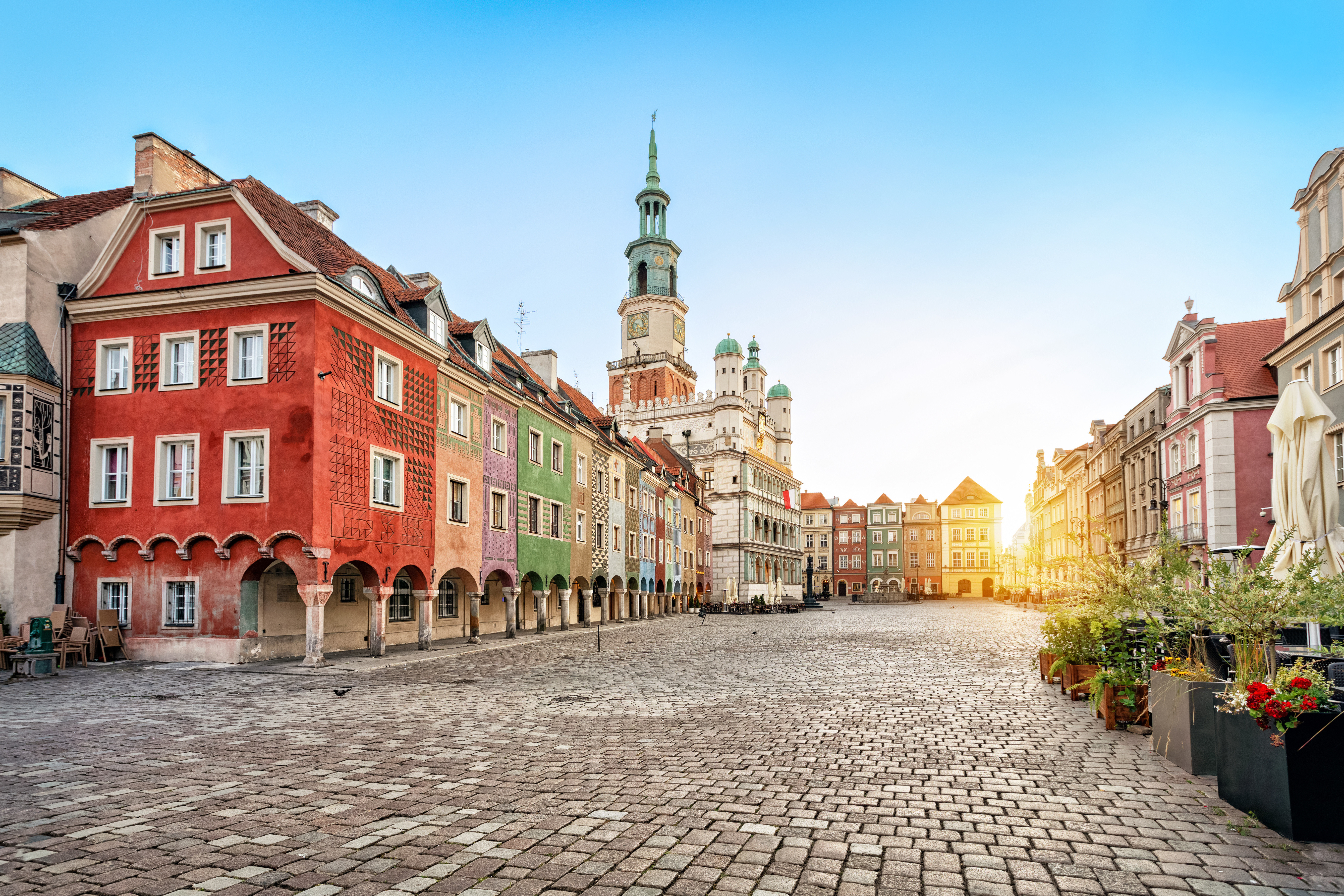 Buy Polish Zloty (PLN) | Currency Online Group