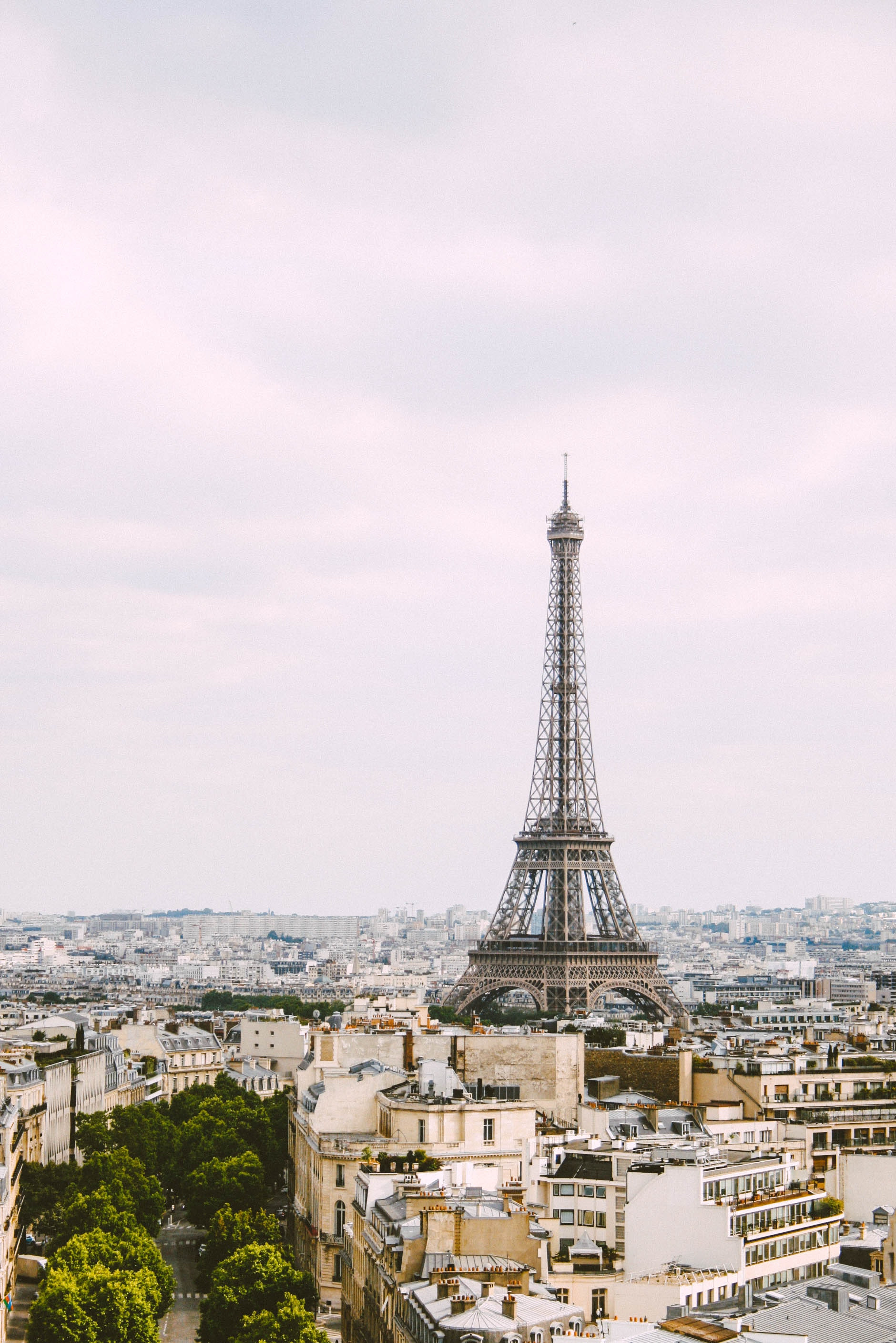 Euro | Currency Online Group